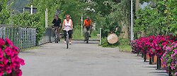 Radeln an der Donau-Ufer-Promenade